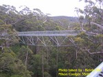 Vally of the Giant Tree top walk in the South West of WA 